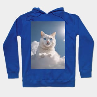 Meow in the Sky Hoodie